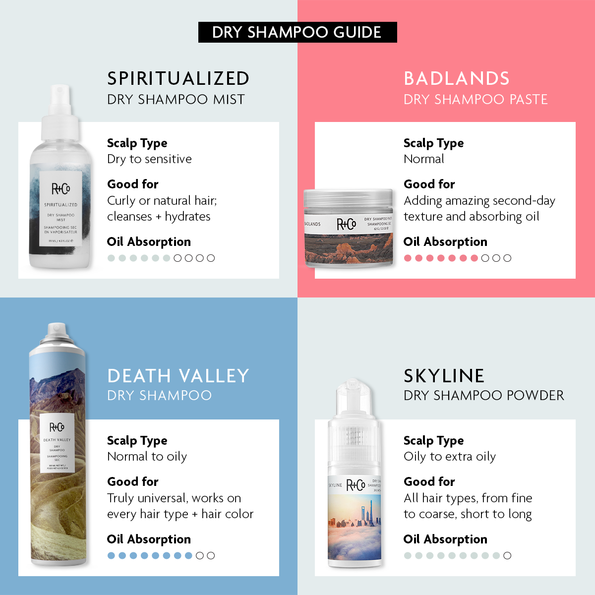 Badlands Dry Shampoo Paste
