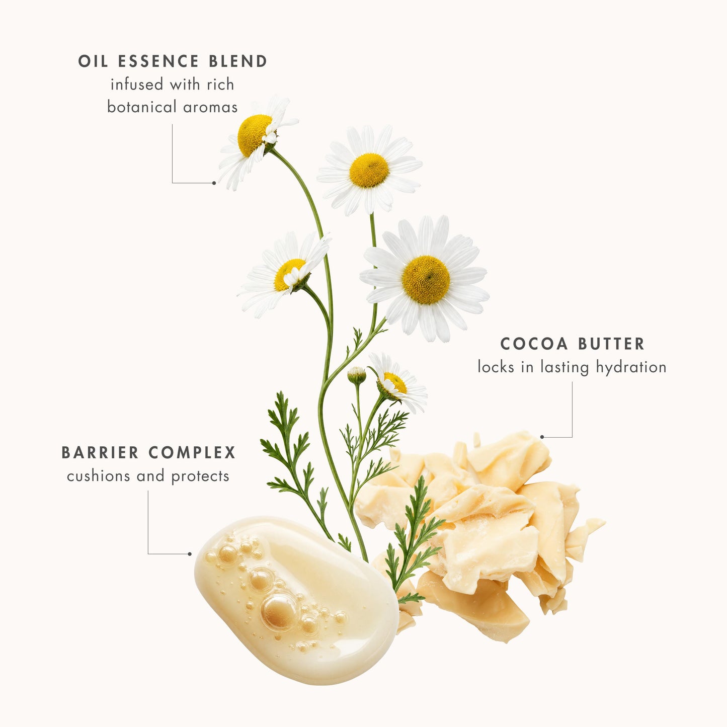 Cleanser Cream