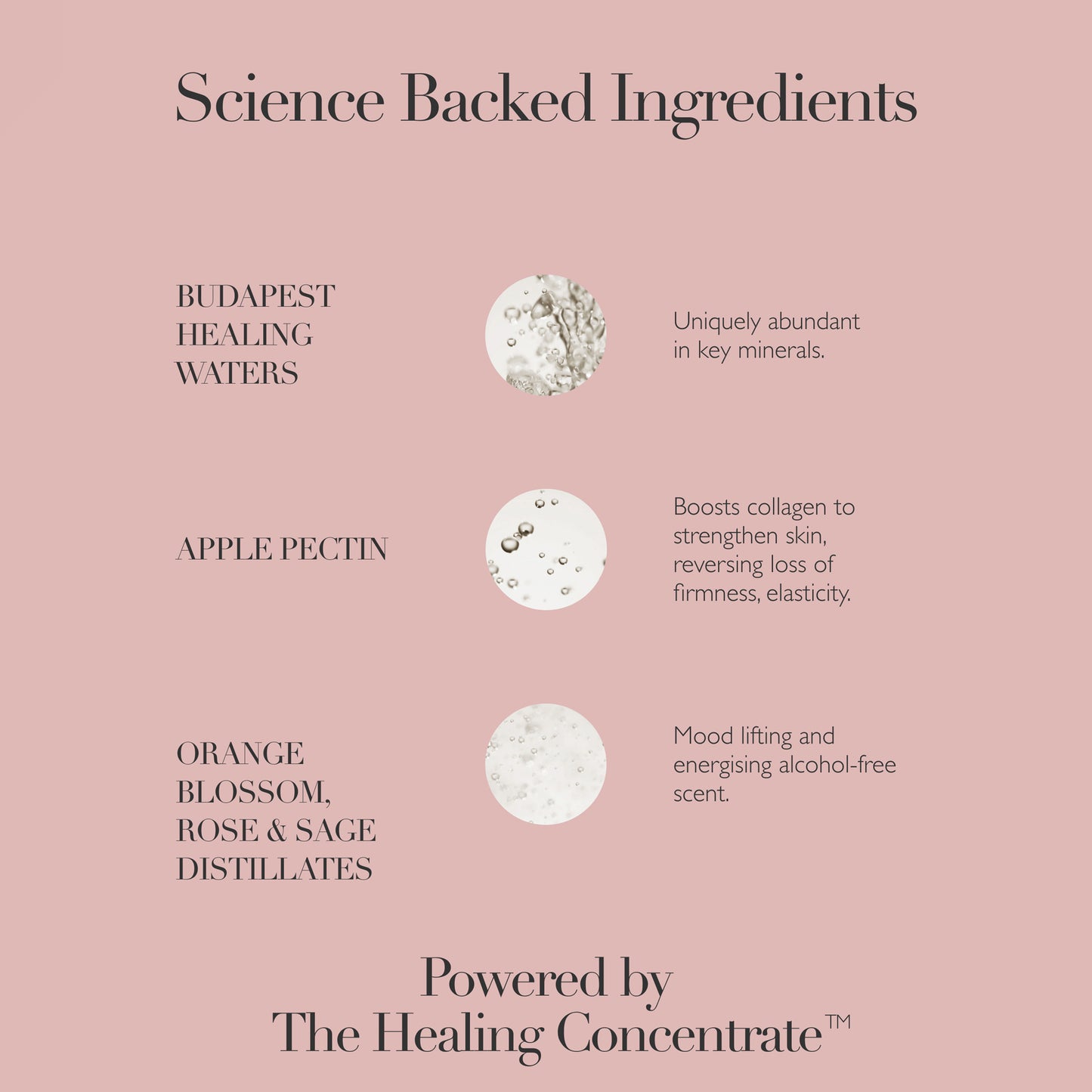 Queen Of Hungary Mist