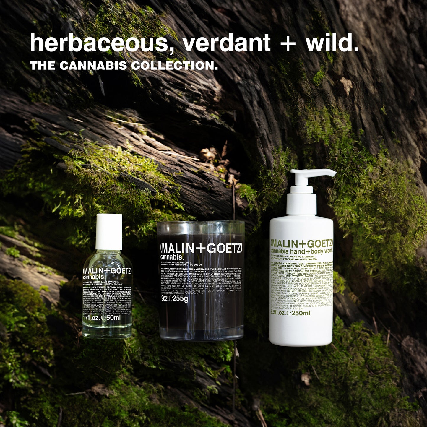 Cannabis Hand Wash + Body Wash