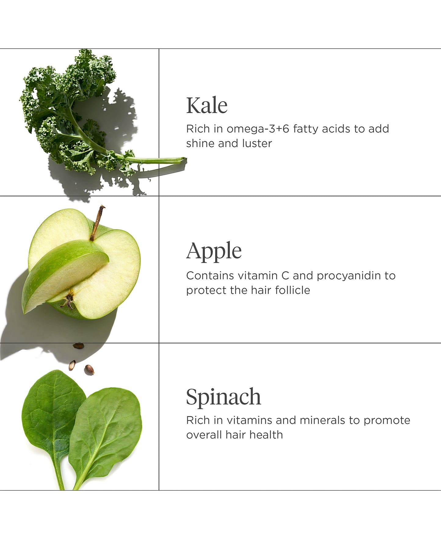Be Gentle Be Kind Matcha + Apple Replenishing Conditioner