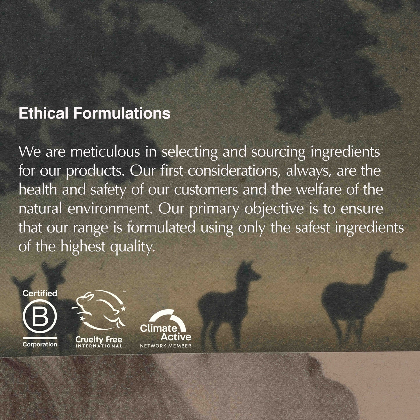 Seeking Silence Facial Hydrator