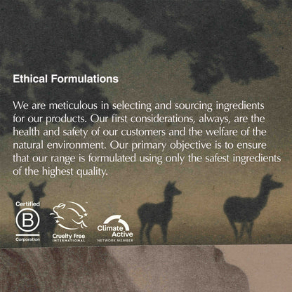 Seeking Silence Facial Hydrator