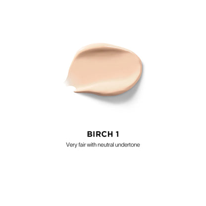 Vanish Airbrush Concealer