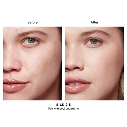 Vanish Airbrush Concealer