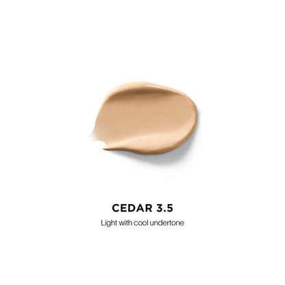 Vanish Airbrush Concealer