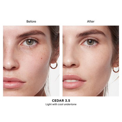 Vanish Airbrush Concealer