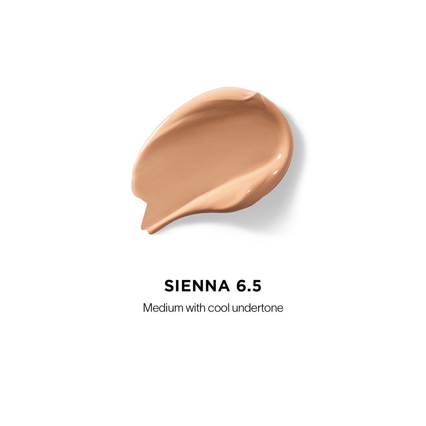 Vanish Airbrush Concealer