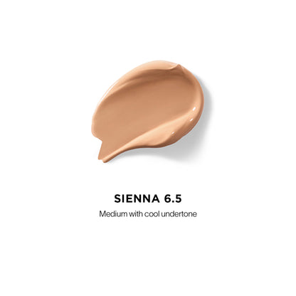 Vanish Airbrush Concealer