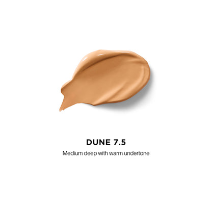 Vanish Airbrush Concealer