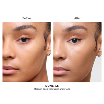 Vanish Airbrush Concealer