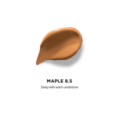 Vanish Airbrush Concealer