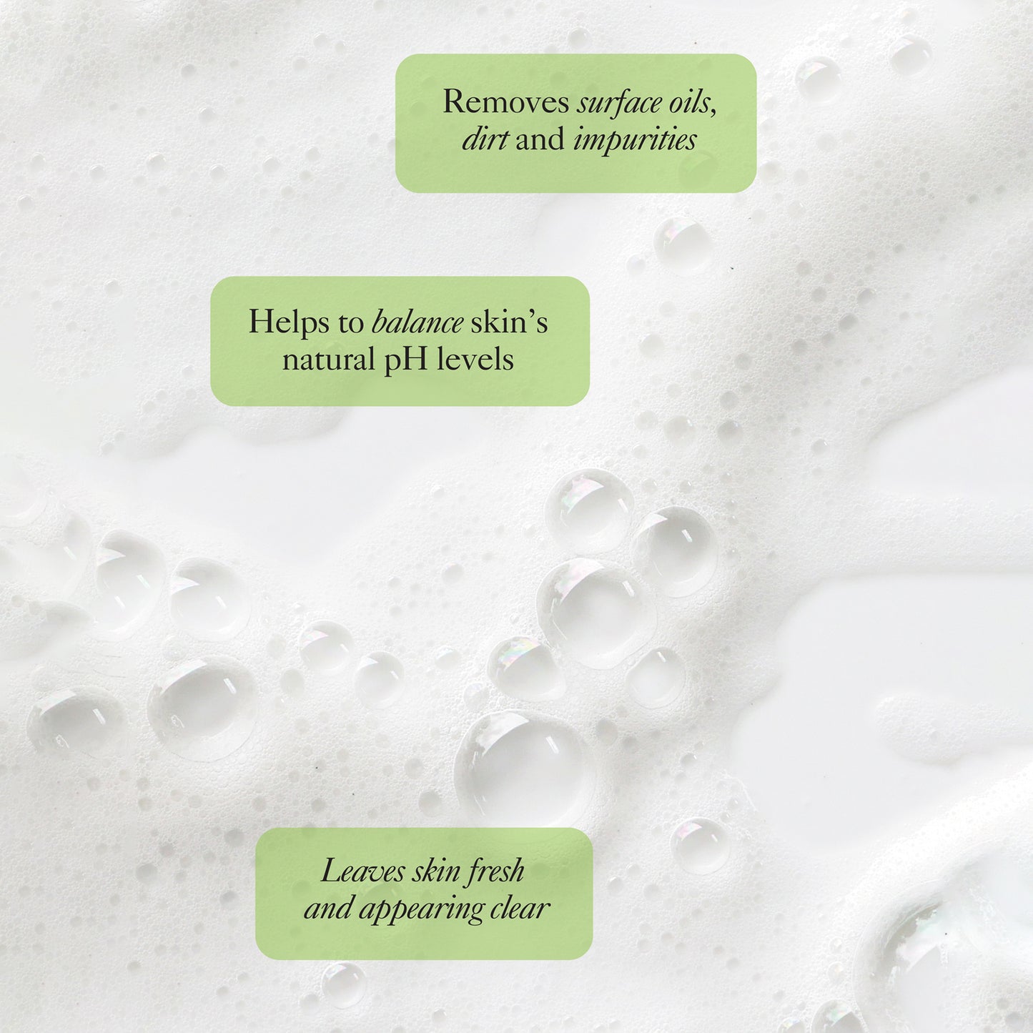 Pure Start Detoxifying Facial Cleanser