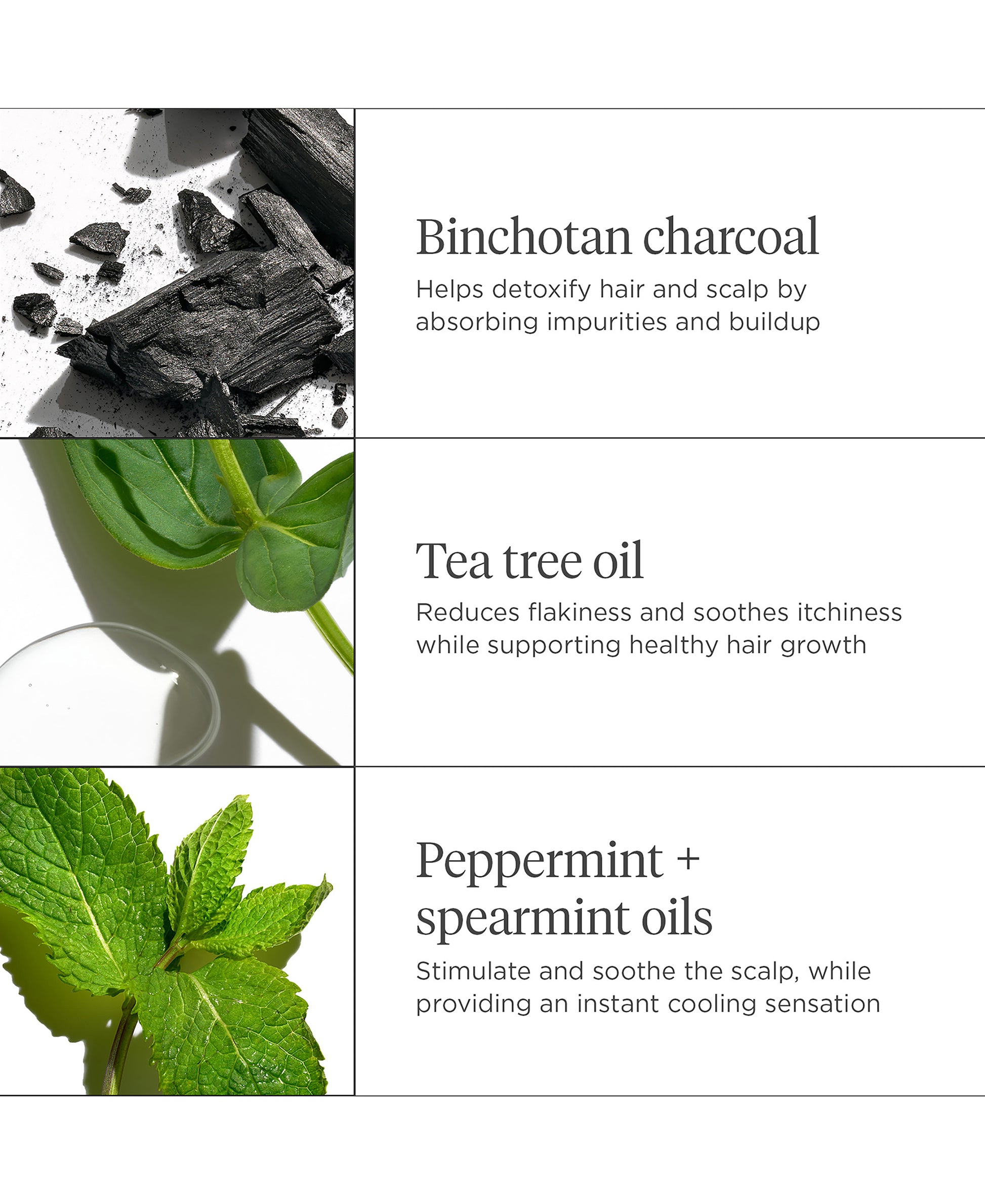 Scalp Revival Charcoal + Tea Tree Scalp Treatment