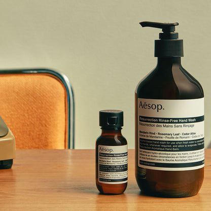 Resurrection Rinse-Free Hand Wash