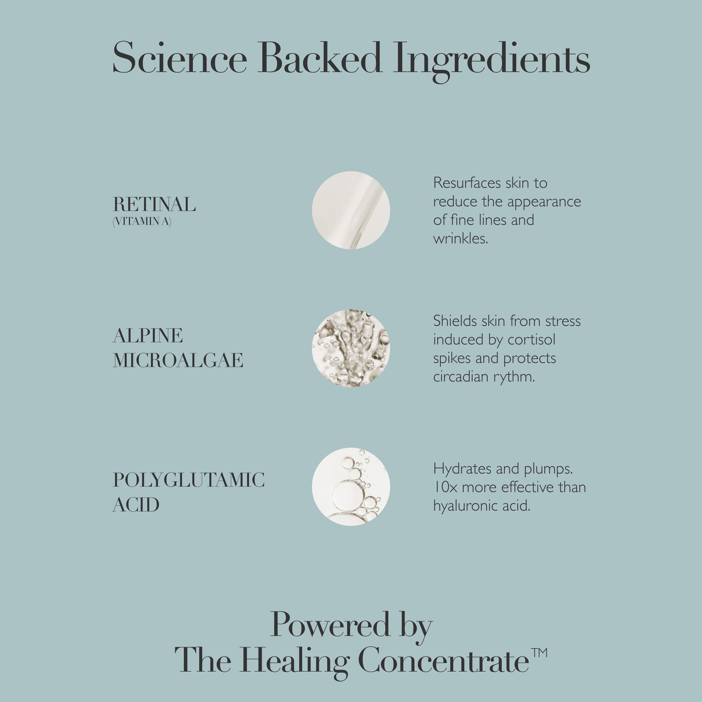 Midnight Renewal Serum