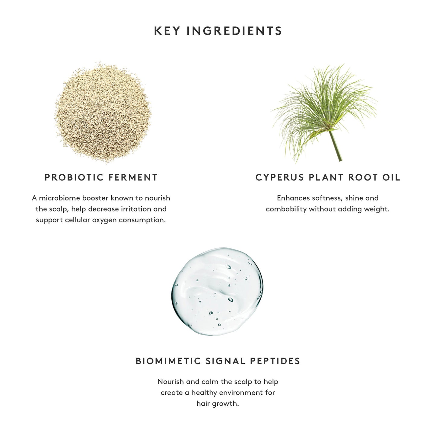 Flourish Conditioner