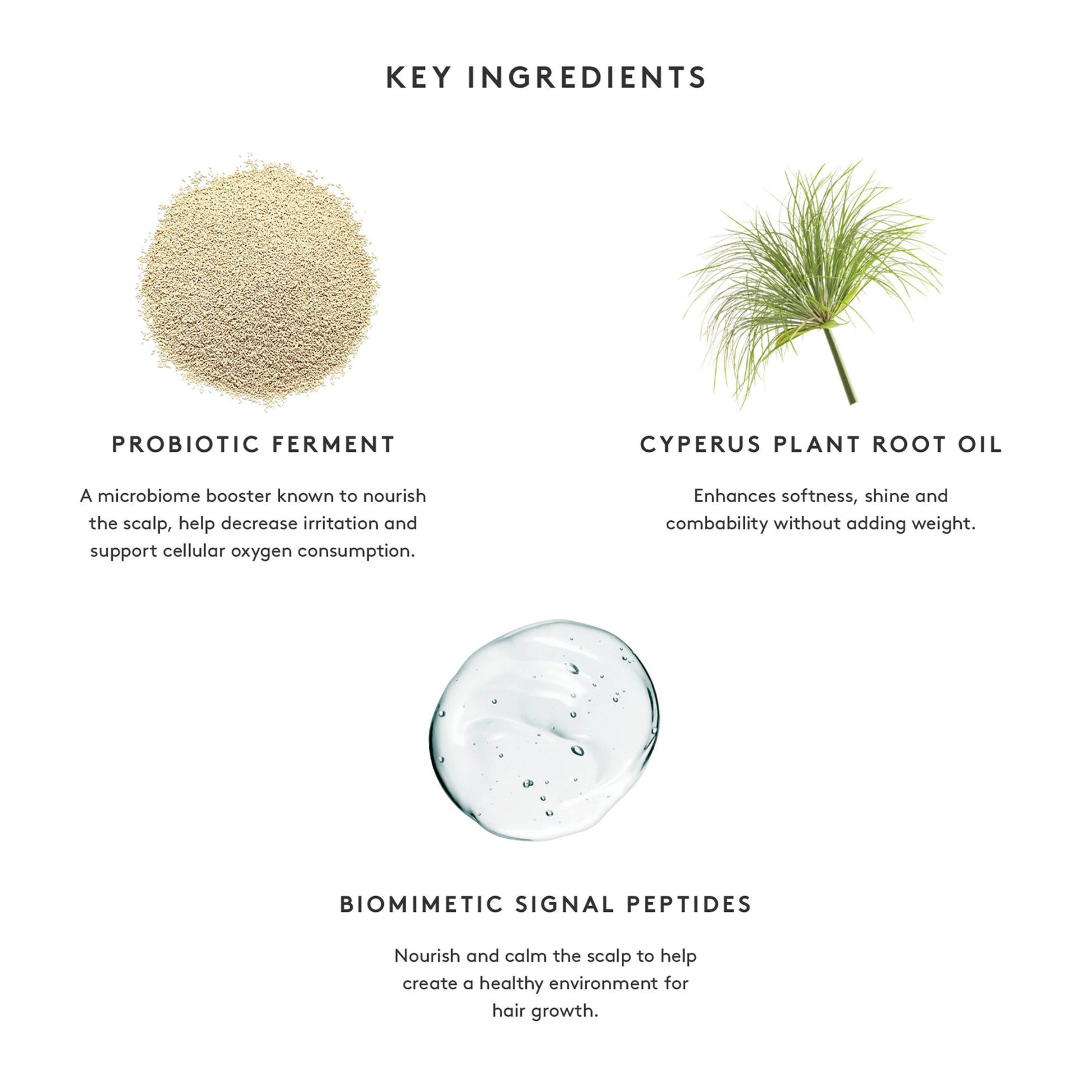 Flourish Conditioner