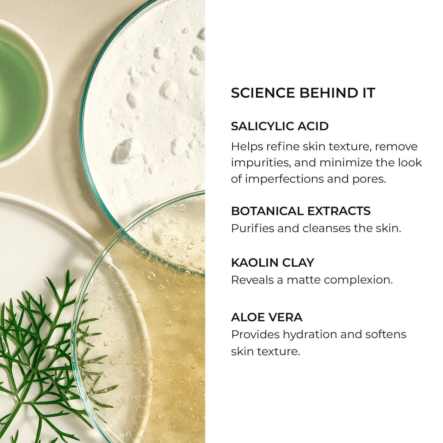 Stabilizing Cleansing Mask