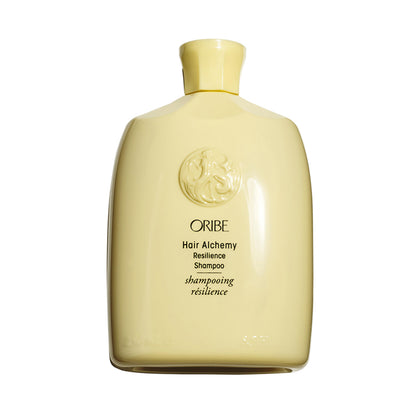 Hair Alchemy Strengthening Shampoo for Fragile & Weak Hair 8.5 oz