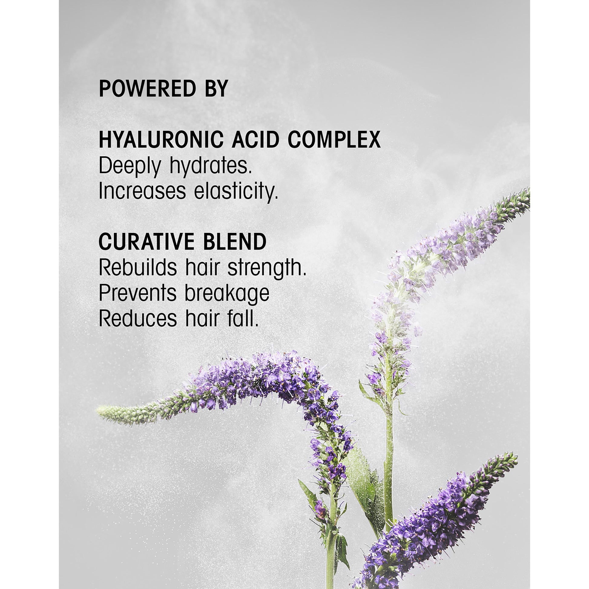 Hair Alchemy Strengthening Shampoo for Fragile & Weak Hair