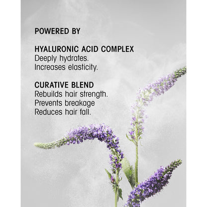 Hair Alchemy Strengthening Shampoo for Fragile & Weak Hair
