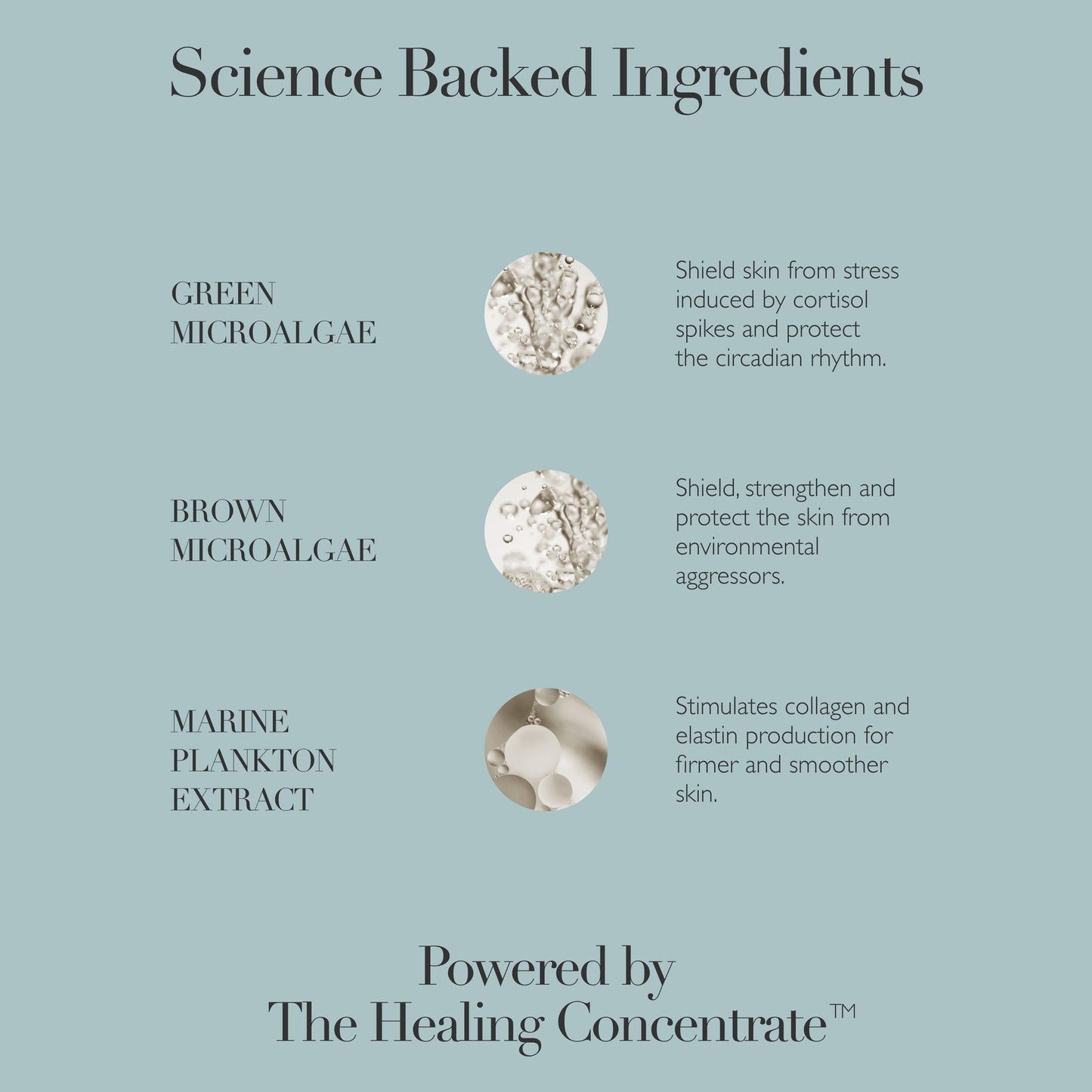 Cushioning Day Cream