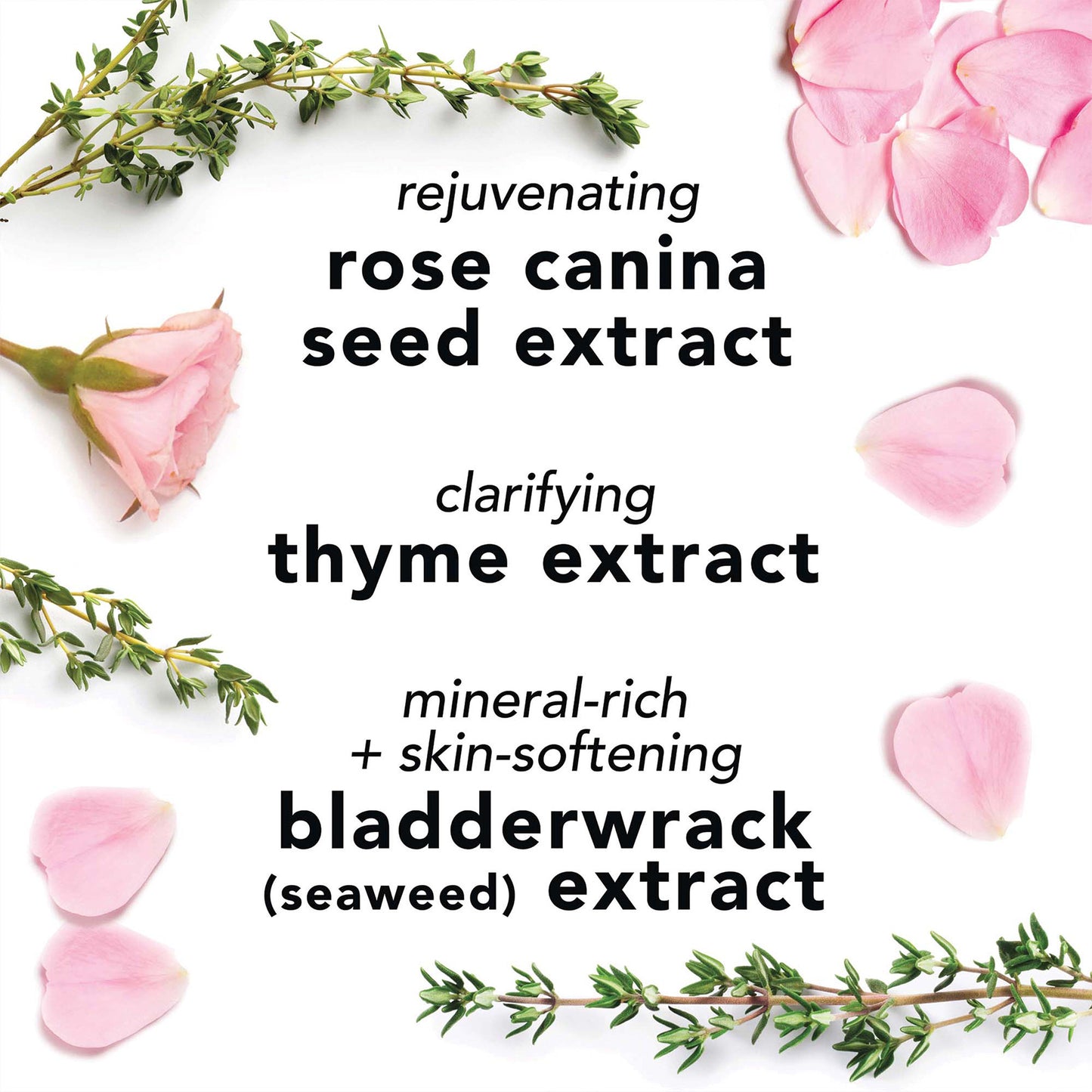 Facial Spray with Aloe, Herbs And Rosewater