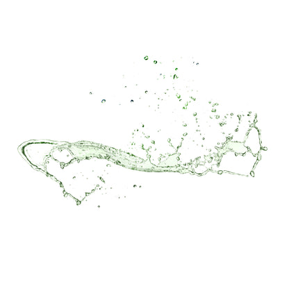 Seaweed Cleansing Lotion Toner