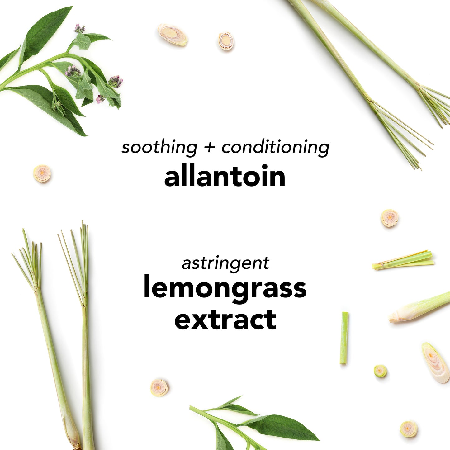 Oil Free Moisturizer