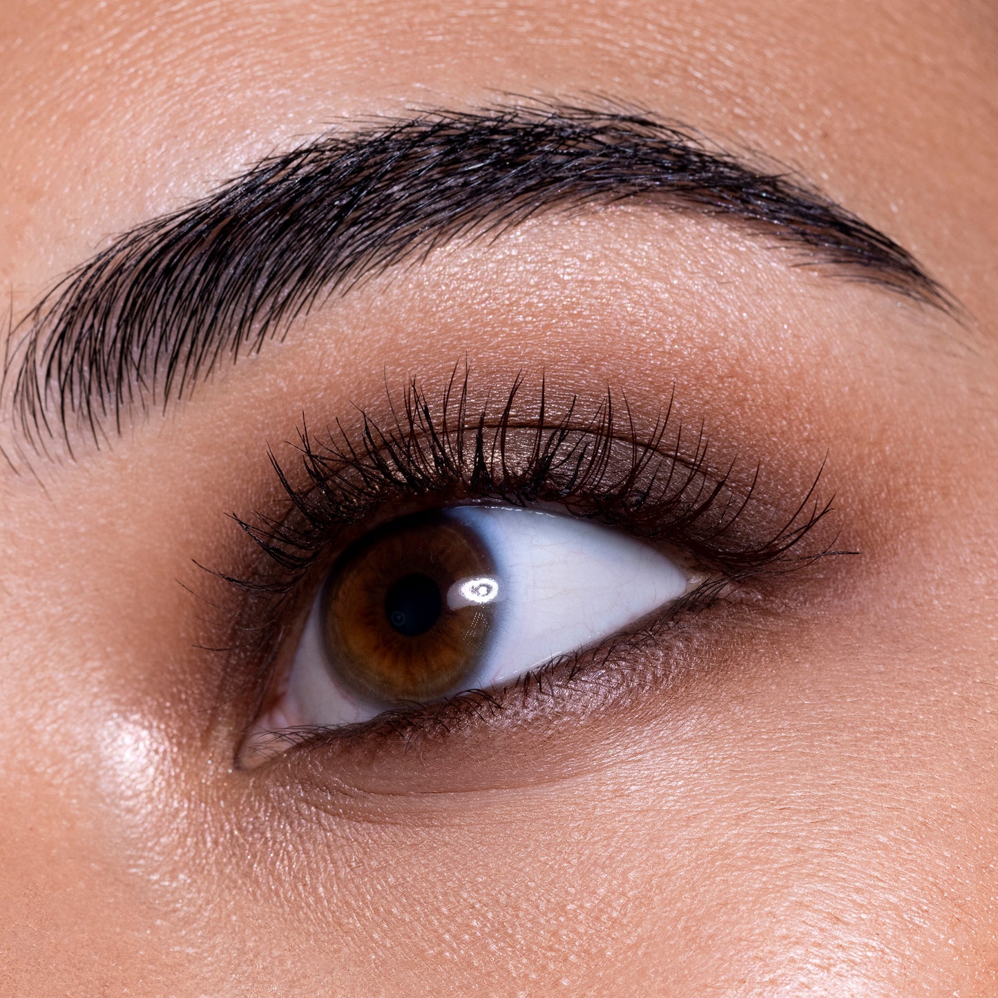 The Contour Eyeshadow Palette