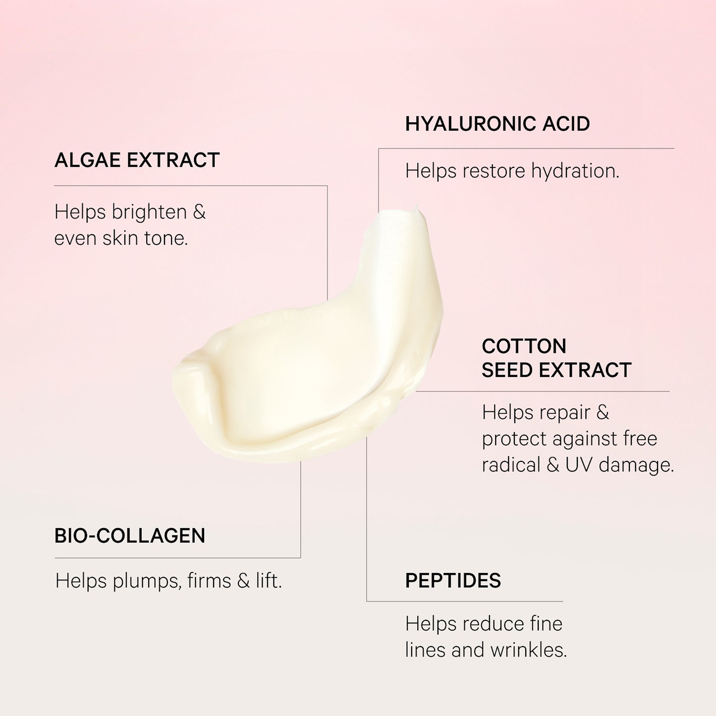 The Rich Moist Daily Anti-Aging Peptide Cream Rich