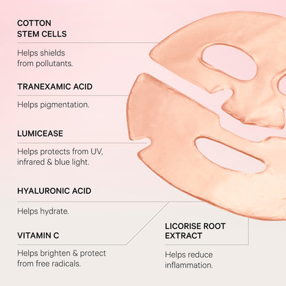 Anti Pollution Hydrating Face Masks