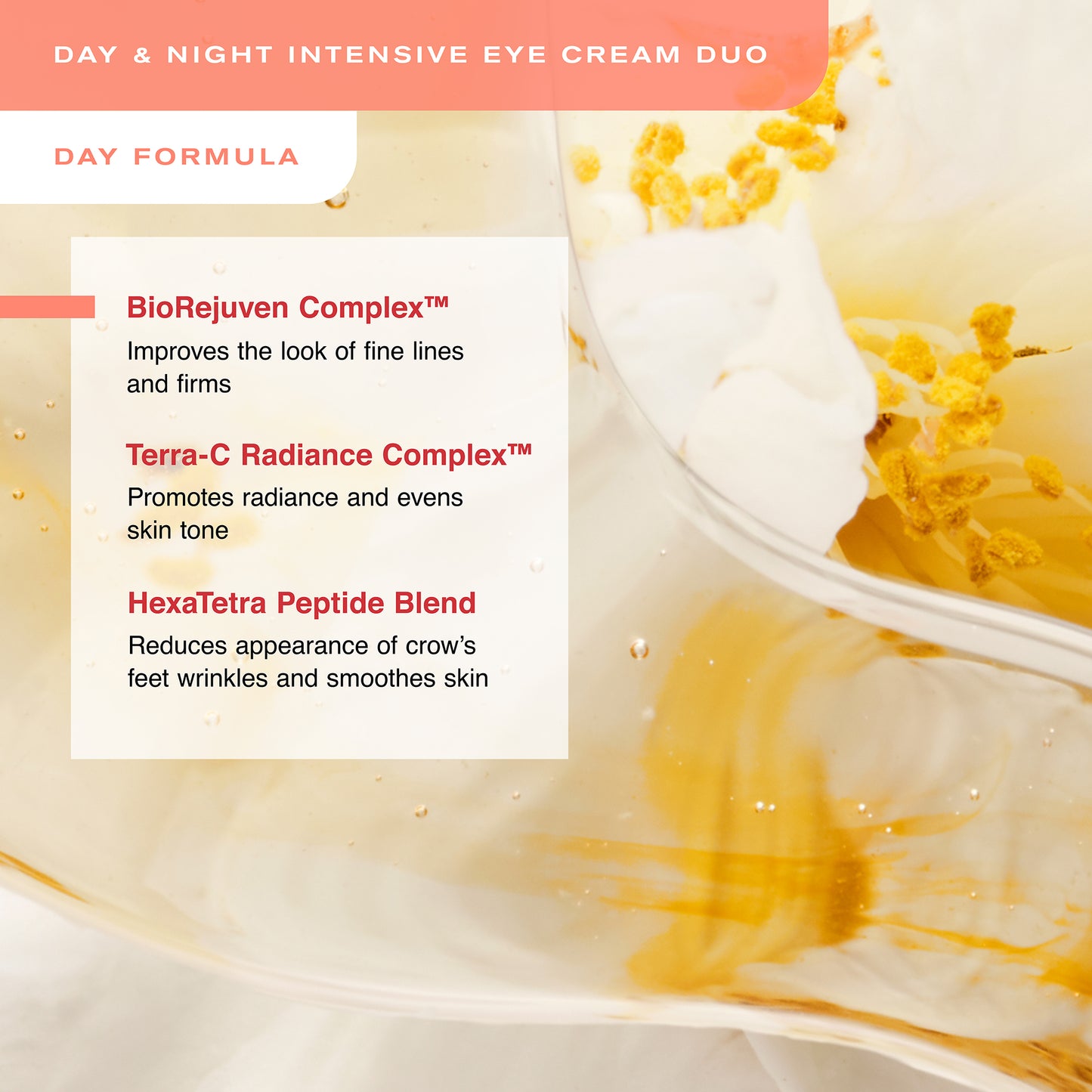 Day and Night Intensive Eye Cream Duo
