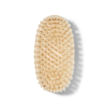 Body Brush Medium