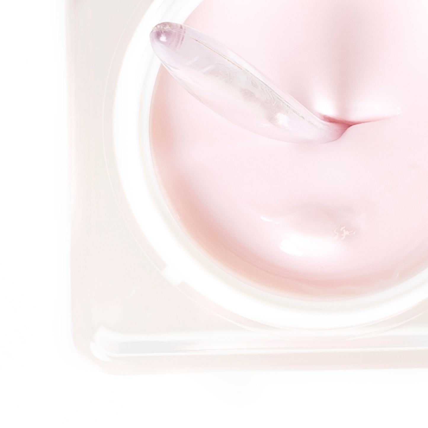 Pink Cactus Pudding Small