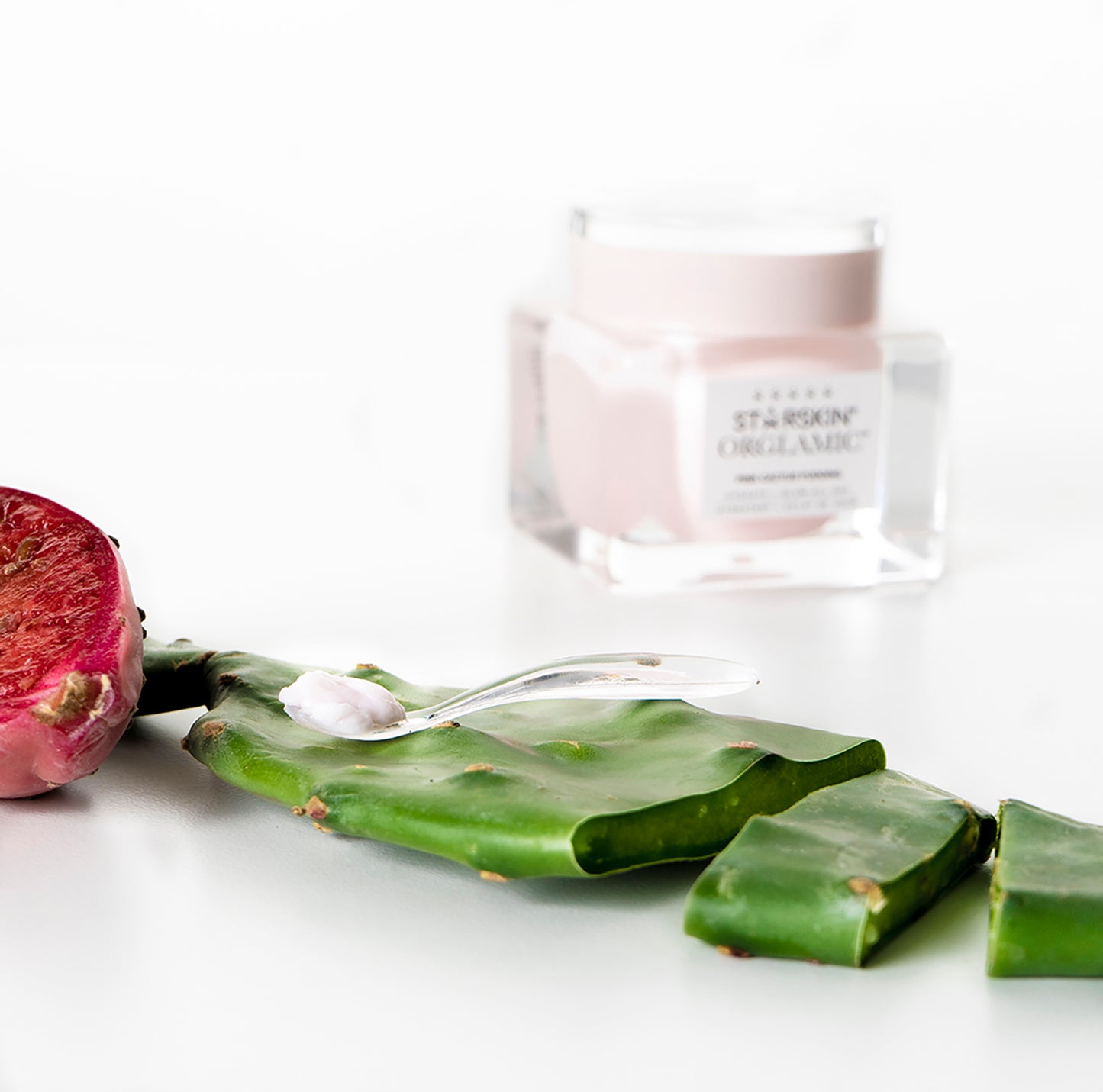 Pink Cactus Pudding Small