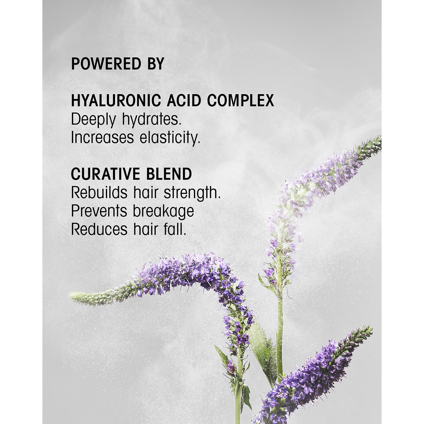 Hair Alchemy Strengthening Shampoo for Fragile & Weak Hair