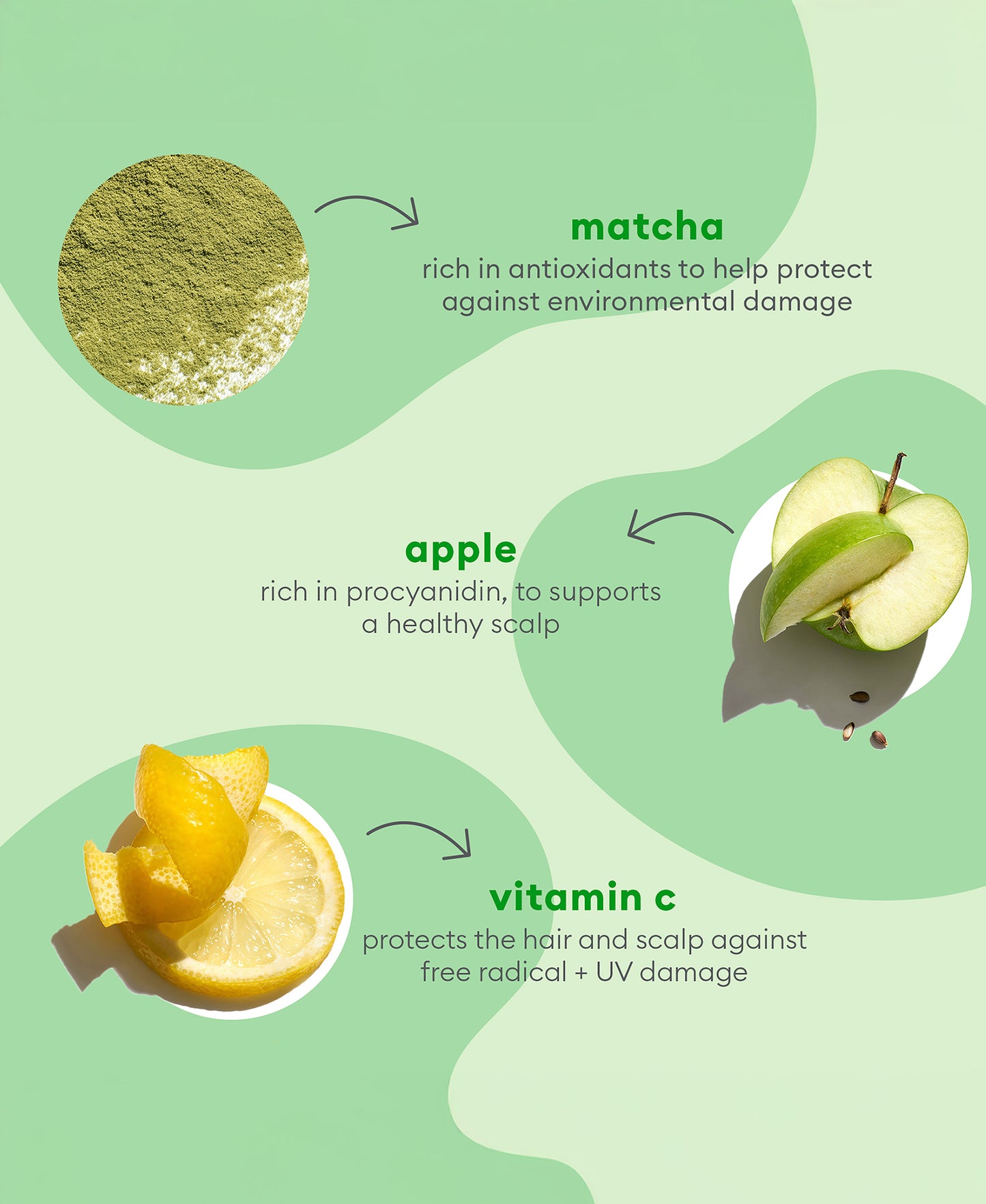 Superfoods Applematcha Plus Kale Replnshng Duo