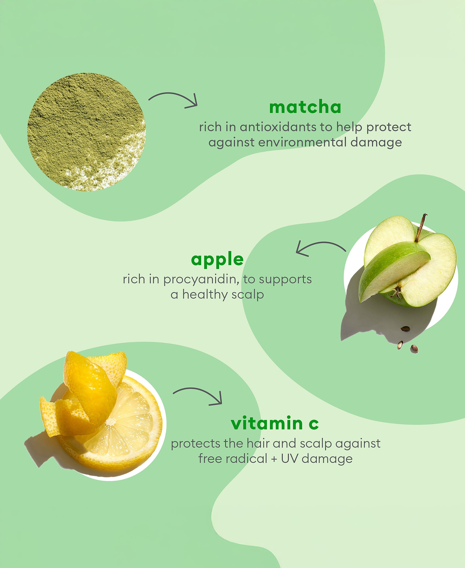 Superfoods Applematcha Plus Kale Replnshng Duo