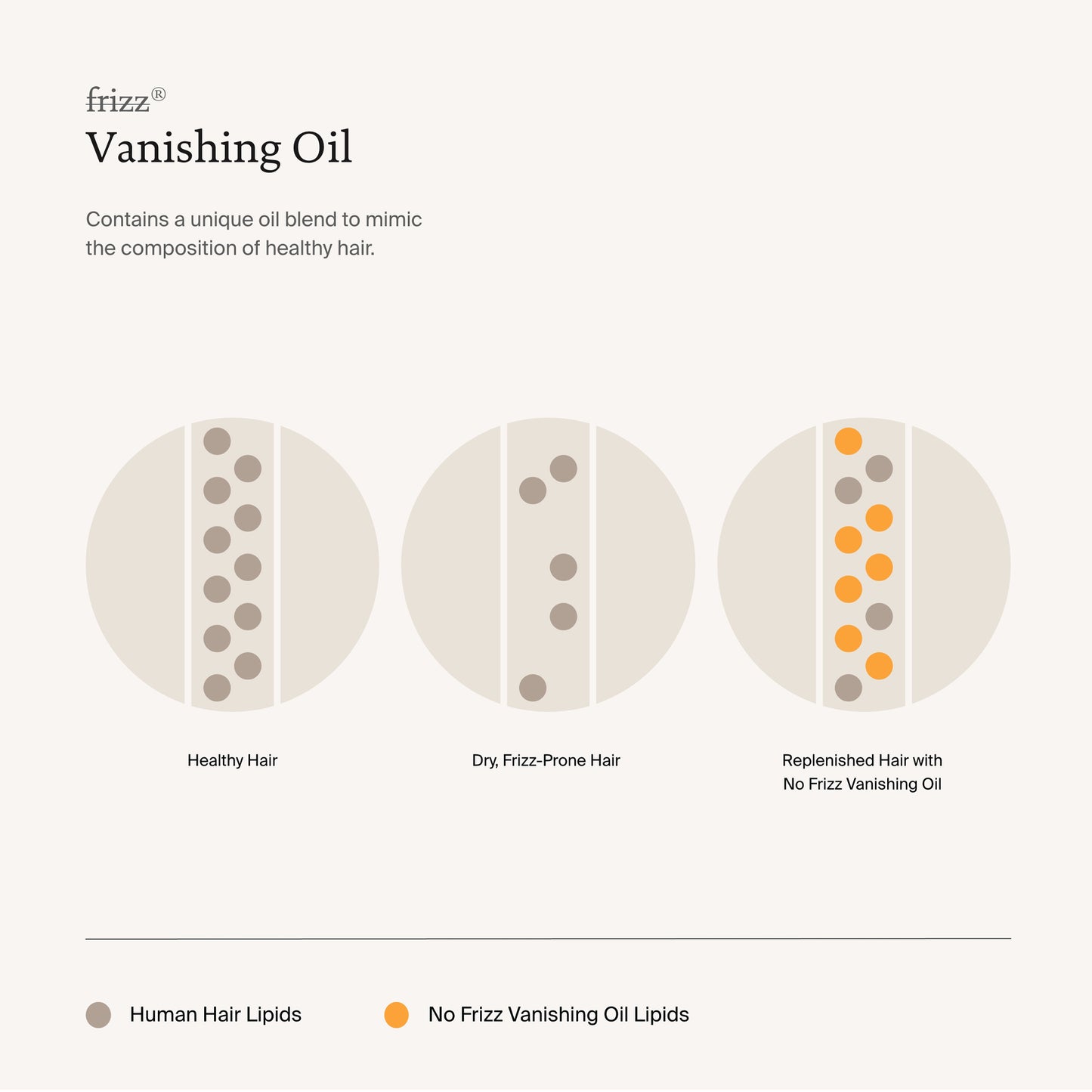 No Frizz Vanishing Oil