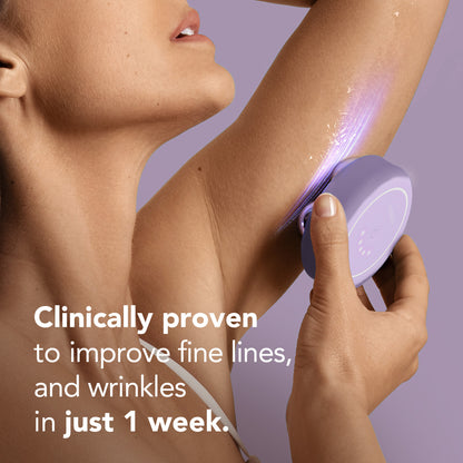 Bear 2 Body - Lavender - Lavender