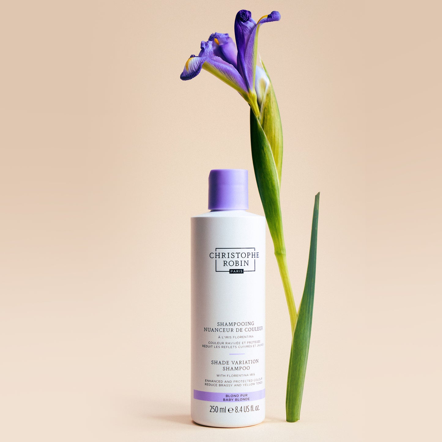 Shade Variation Shampoo with Florentina Iris
