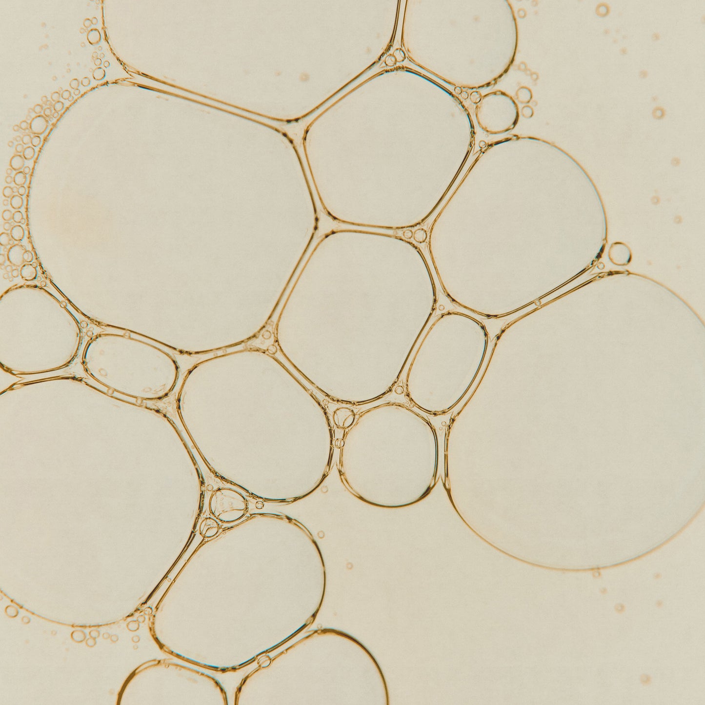 Immaculate Facial Tonic