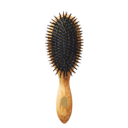 BEAUTE Classic Repair & Shine Brush - Thick or Curly Hair