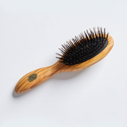 BEAUTE Petite Repair & Shine Brush - Fine to Medium Hair