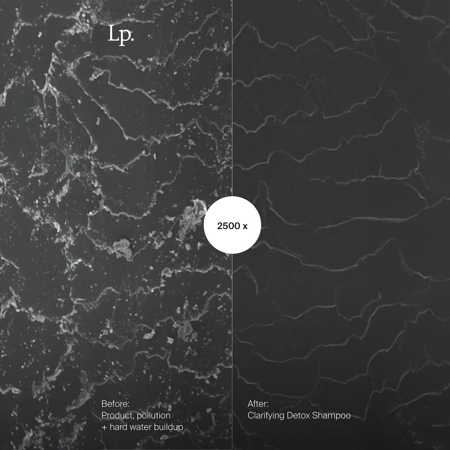 Clarifying Detox Shampoo