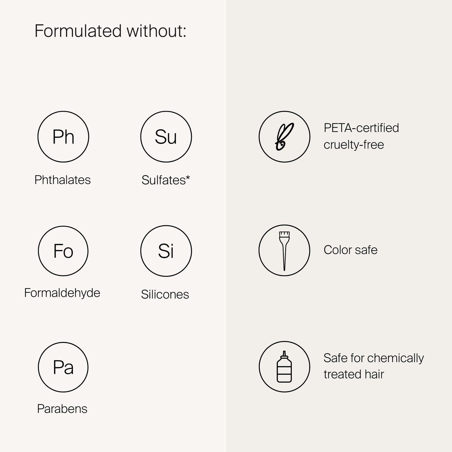 Clarifying Detox Shampoo