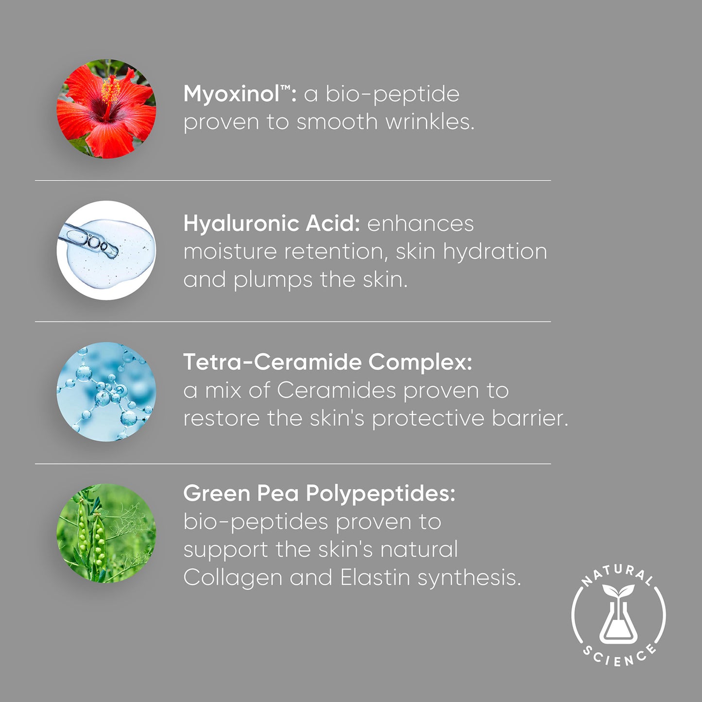 Hibiscus Night Cream With Myoxinol