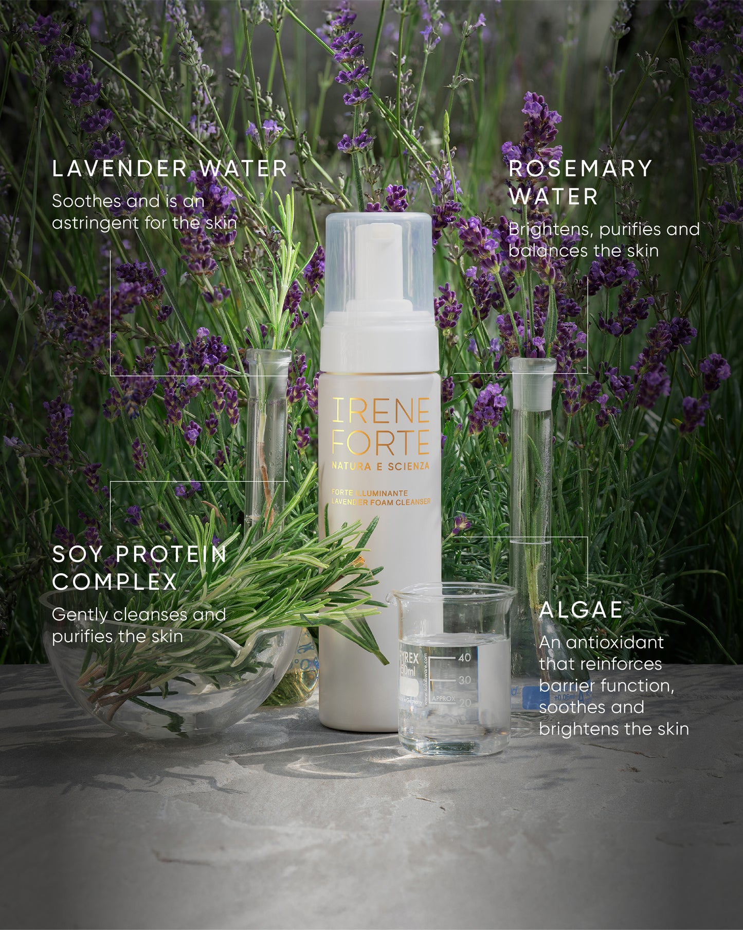 Lavender Foam Cleanser